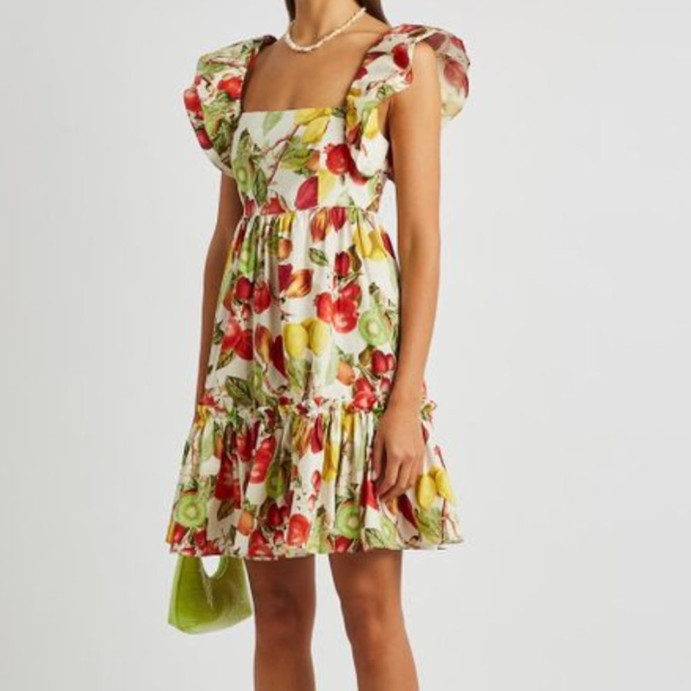 Cara Cara Women's Lexa Printed Cotton-poplin Mini Dress